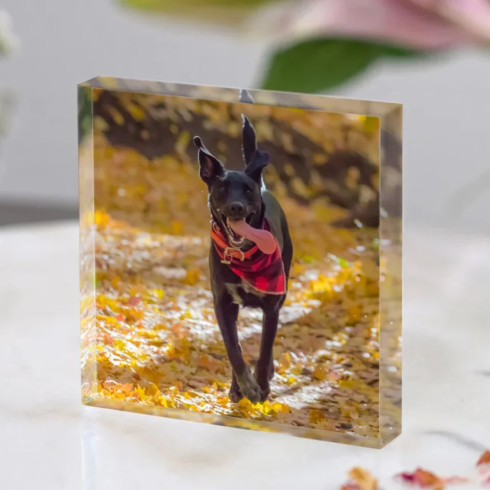 ACRYLIC-BLOCK-01-DOG01